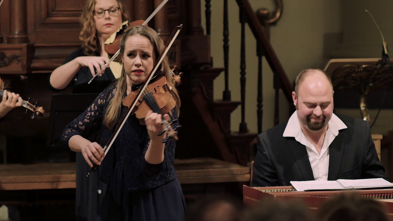 Haydn Violin Concerto G major HobVIIa:4: Allegro moderato / The String Soloists & Lisa Jacobs