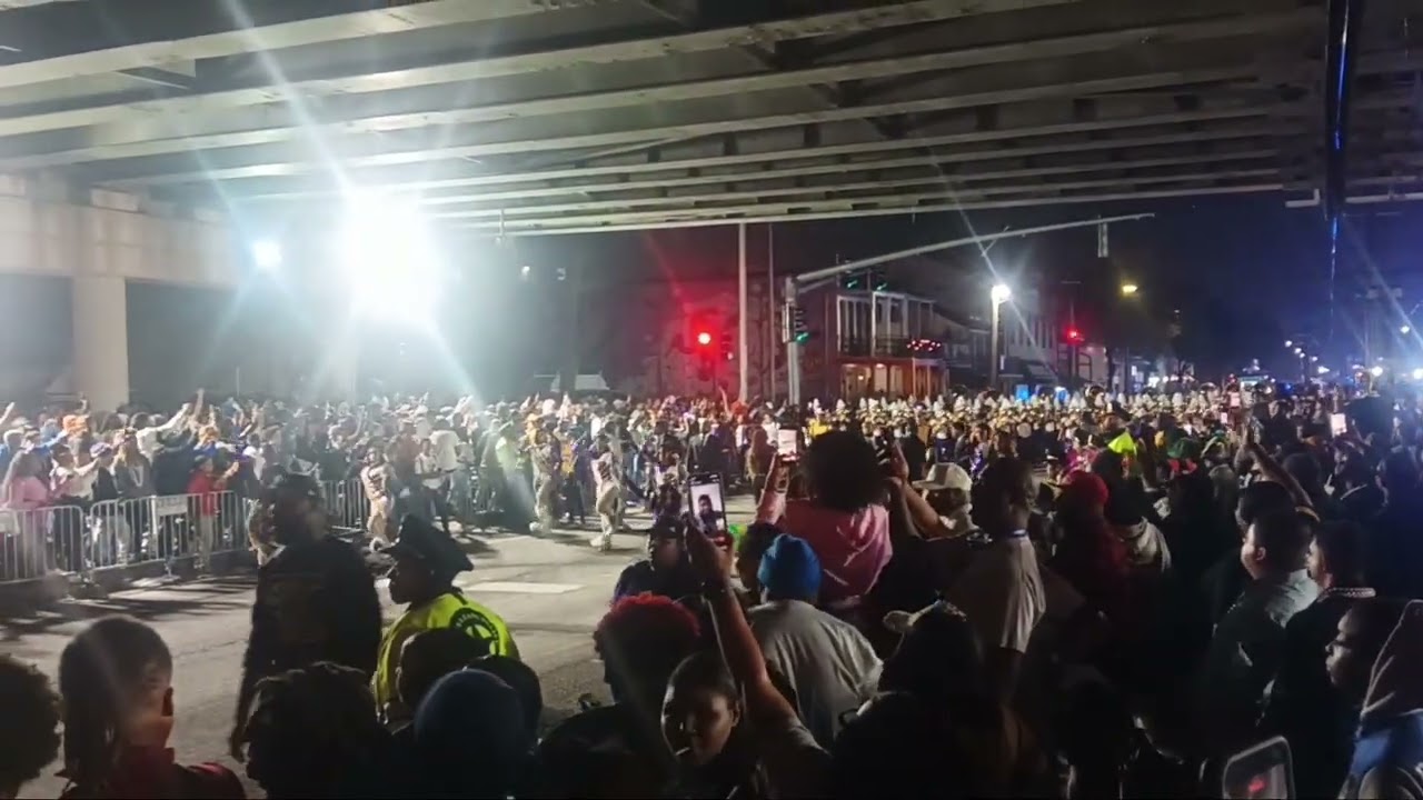 EDNA KARR | UNDER THE BRIDGE MUSES | MARCHING BANDS | MARDI GRAS | NEW ORLEANS | CARNIVAL