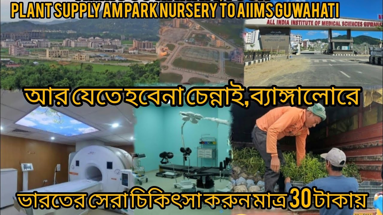 plant supply AM park nursery to Aiims guwahati, চিকিৎসার জন্য যেতে হবে না চেন্নাই,ব্যাঙ্গালোরে