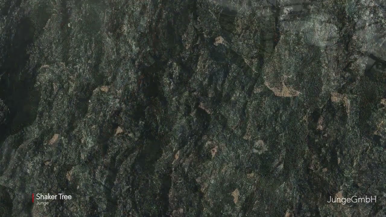 Junge - Shaker Tree (Official Visualizer)