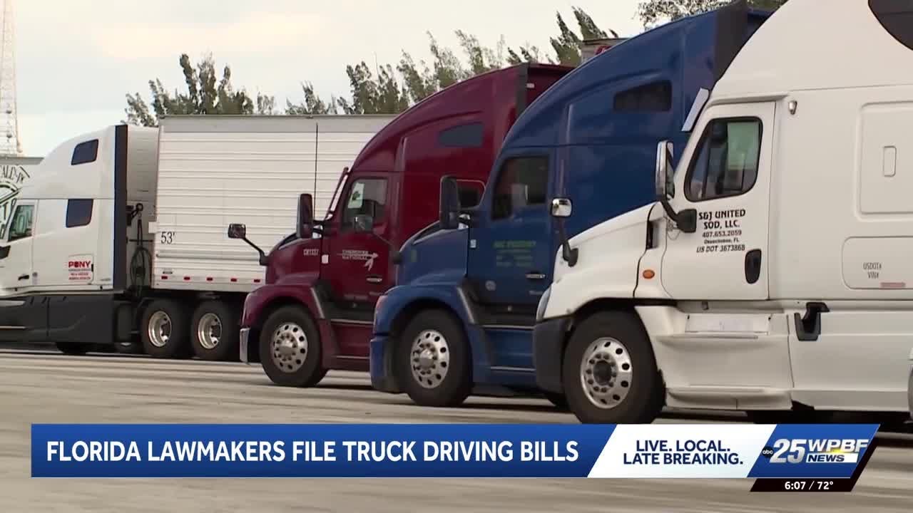 Florida, federal lawmakers push for stricter truck driver standards after deadly turnpike crash