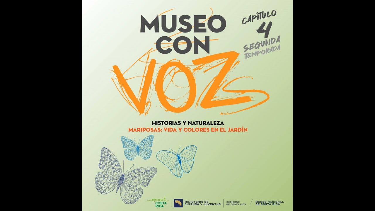 🦋 Mariposas: Naturaleza viva en el Jardín