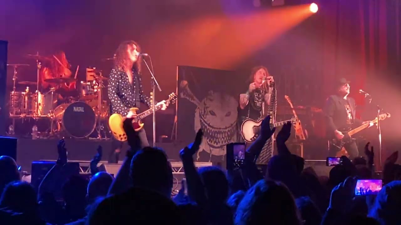 The Wildhearts Diagnosis Live @ Manchester O2 Ritz 09/03/2025