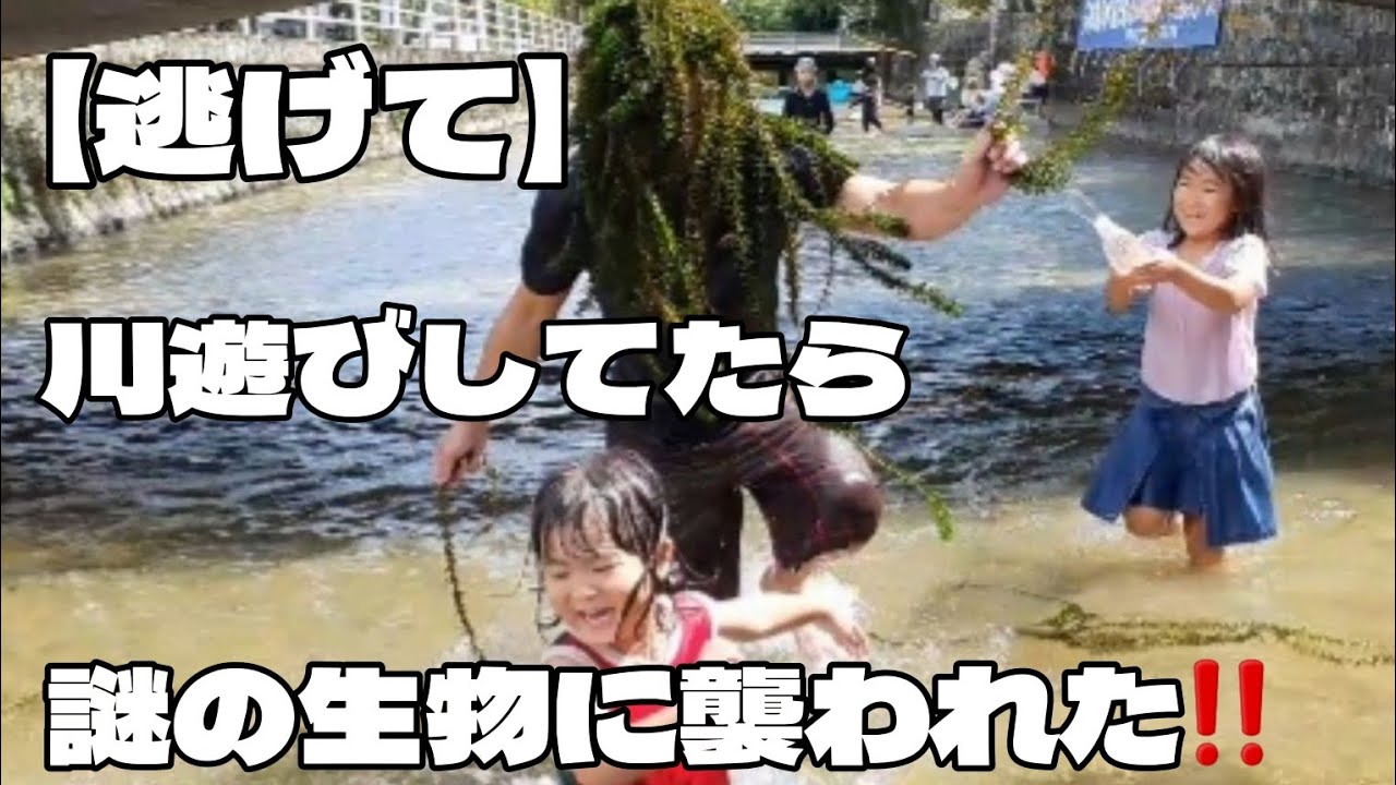 【川遊び】謎の生物に襲われました！みんな無事でしょうか？