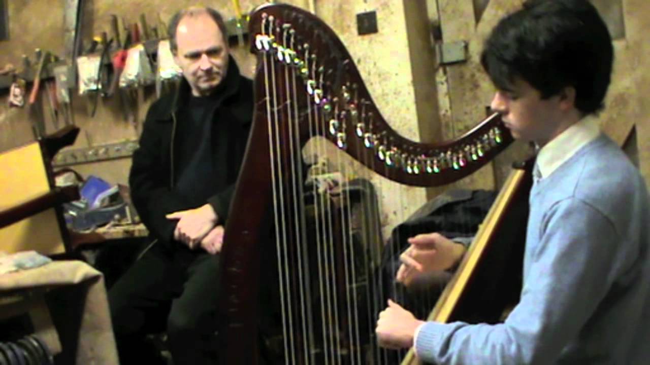 Fiachra - The Harpmaker: Planxty Colm O Meachair