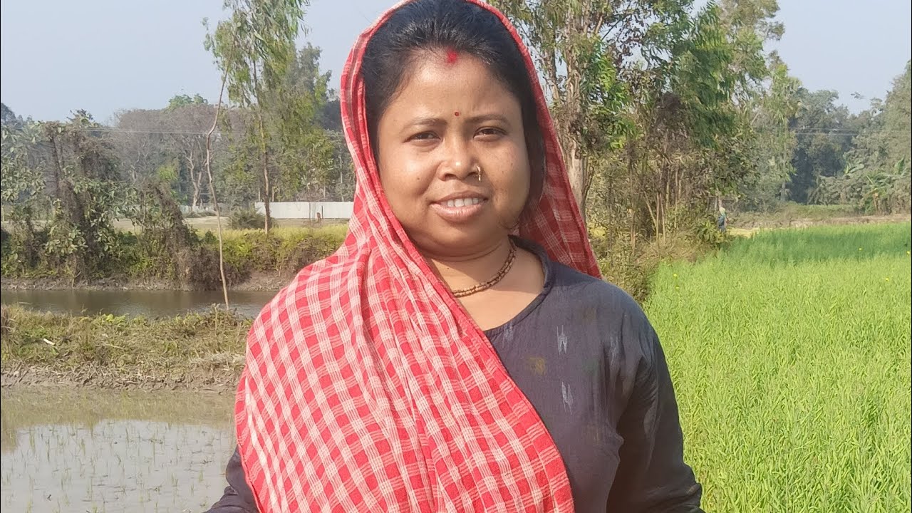শুভ দুপুর বন্ধুরা, আজকে আমাদের জমিতে ধানের চারা লাগানো হচ্ছে। ♨️💕
