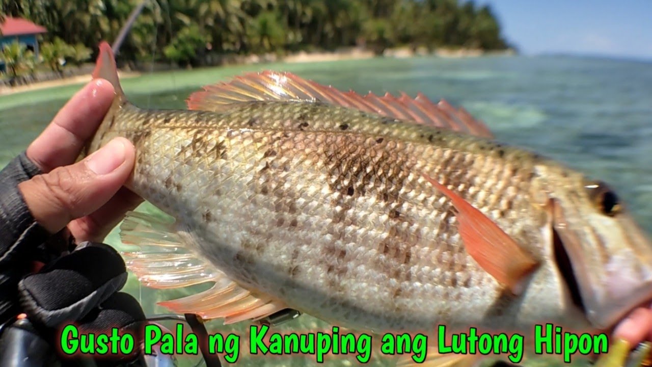 Northern Samar Anglers Club Fishing Adventure | San Antonio N. Samar | UL Setup