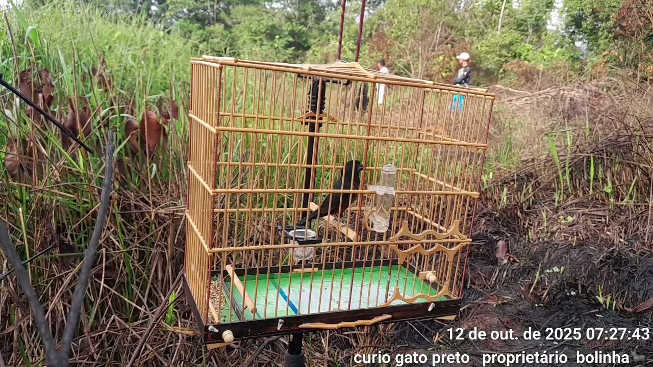 12 de outubro de 2025