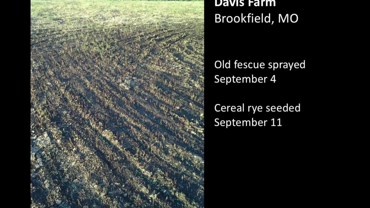 Renovating Pastures to Novel Endophyte Tall Fescue