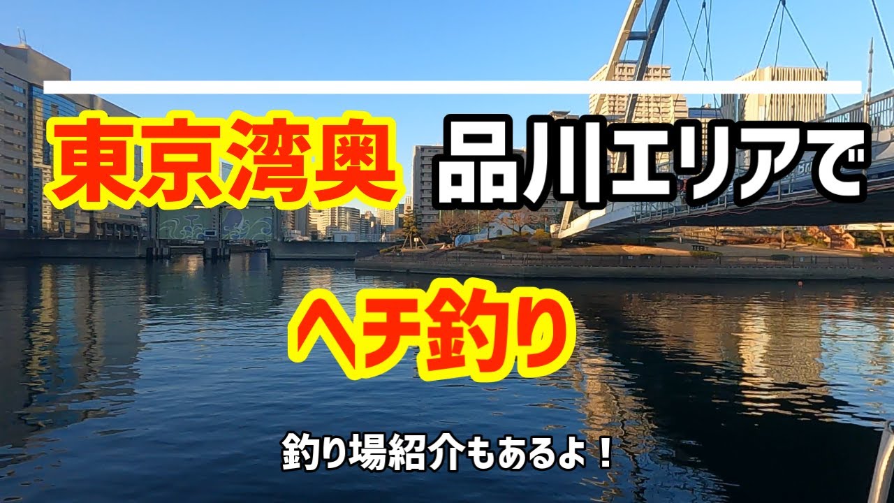 【#天王洲アイル周辺】アオイソメ使って夜ヘチで遊んみた！　2020.12.21
