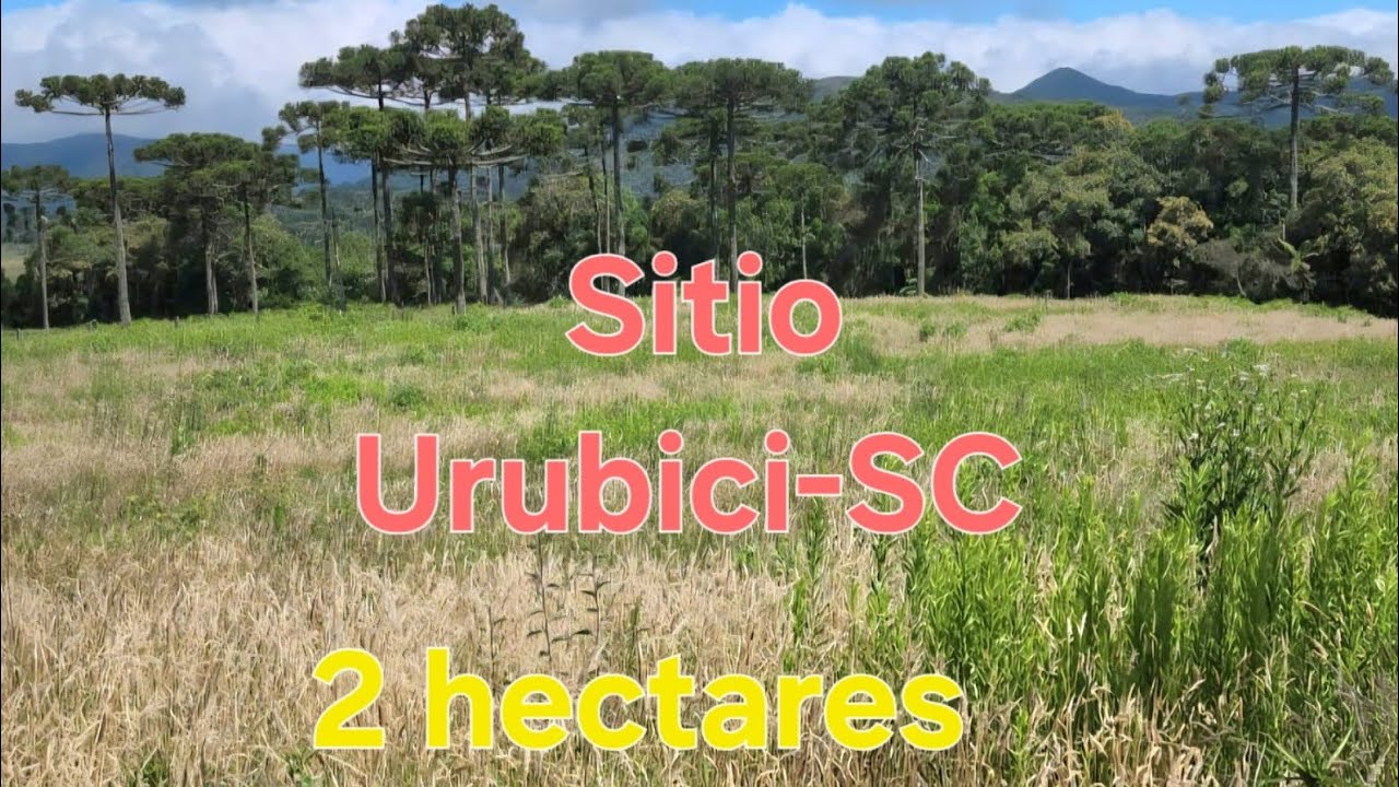 Sitio Morro da Igreja Urubici- SC a  venda 2 hectares com lindas araucárias...