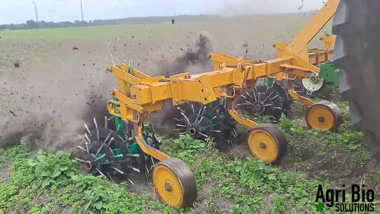 Greenline Tornado 2025 - Mechanische onkruidbestrijding in ruggenteelten.