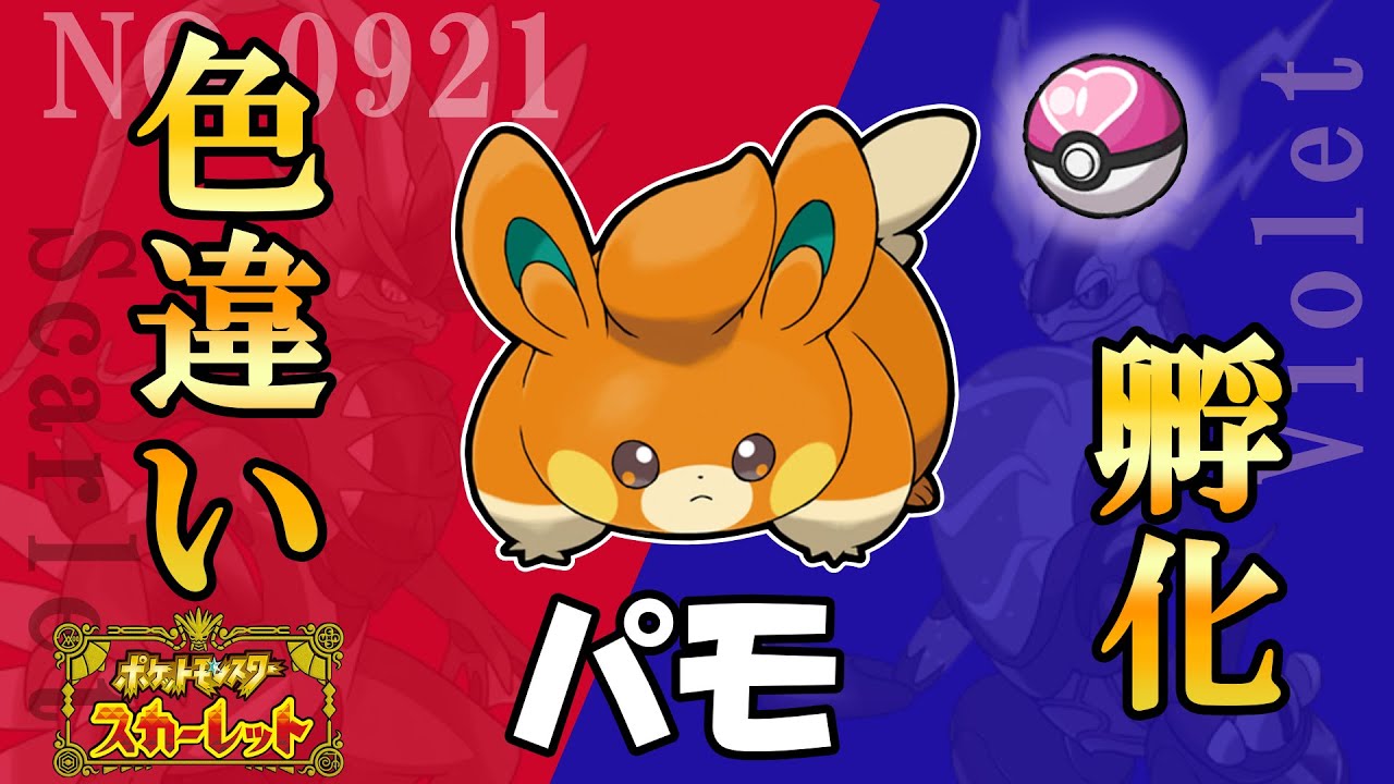 パモ色違い孵化厳選day2　パモ180個 シェルダー150個　