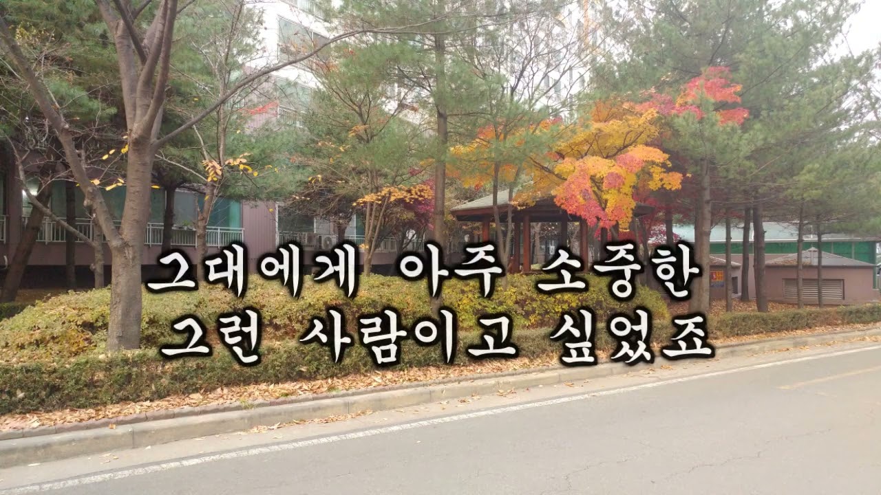 황홀한 착각