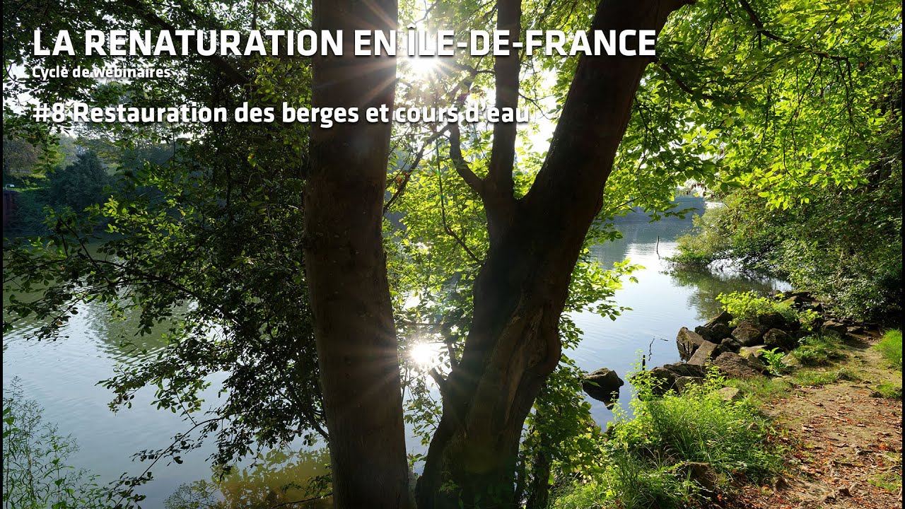Restauration des berges et cours d’eau