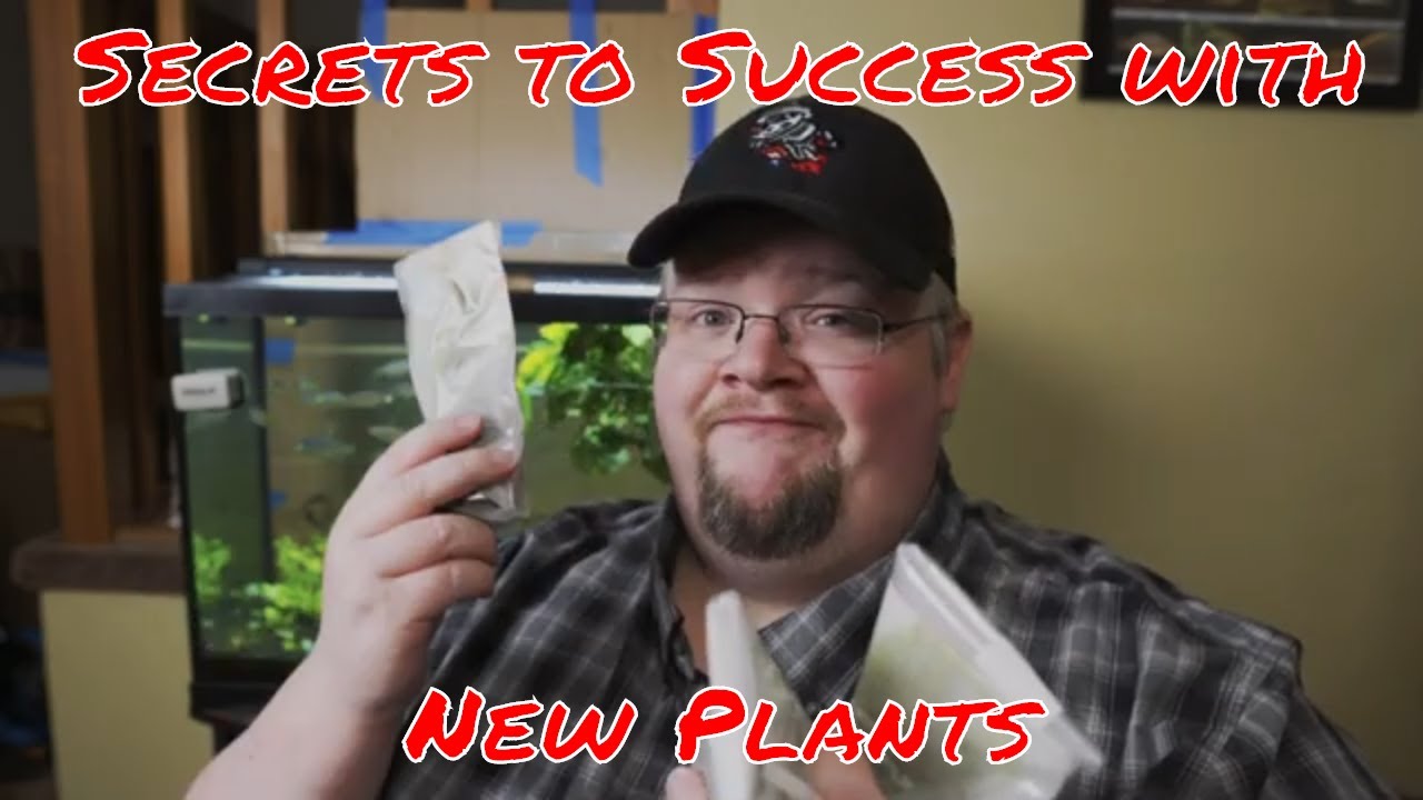 How Do I Handle New Plants?  Master Aquatic Horticulturalist Gives His Tips and Secrets!