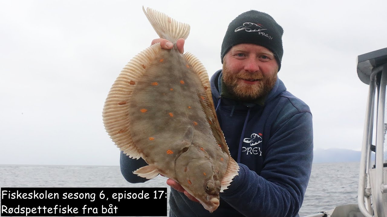 Fiskeskolen sesong 6, episode 17: Rødspettefiske fra båt