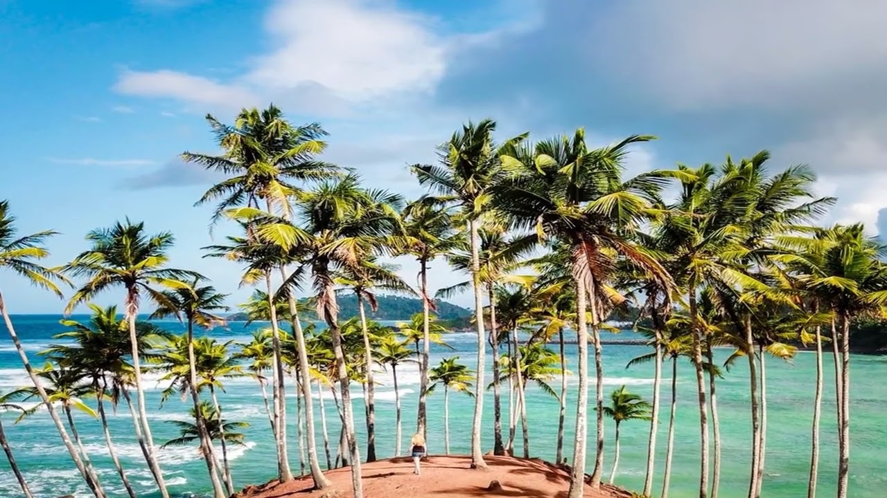 Mirissa on a Budget: Your Guide to Sri Lanka's Paradise Without Breaking the Bank!