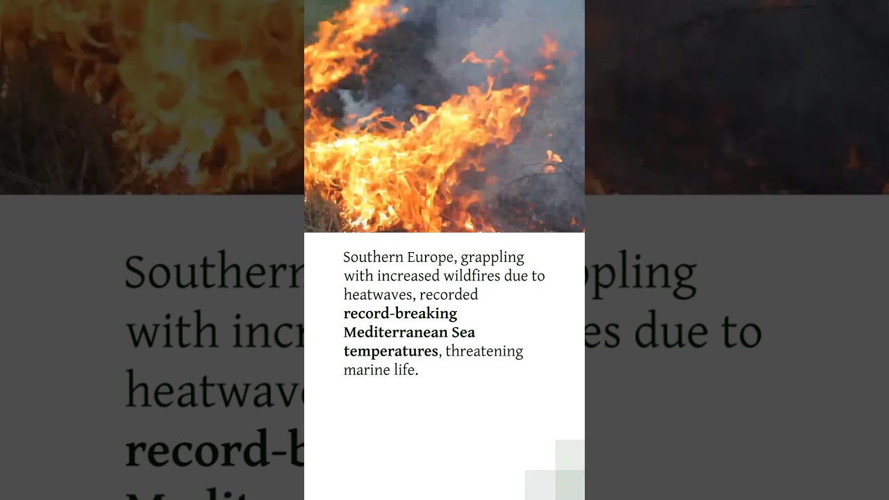 Wildfires strike Croatia's Dubrovnik region