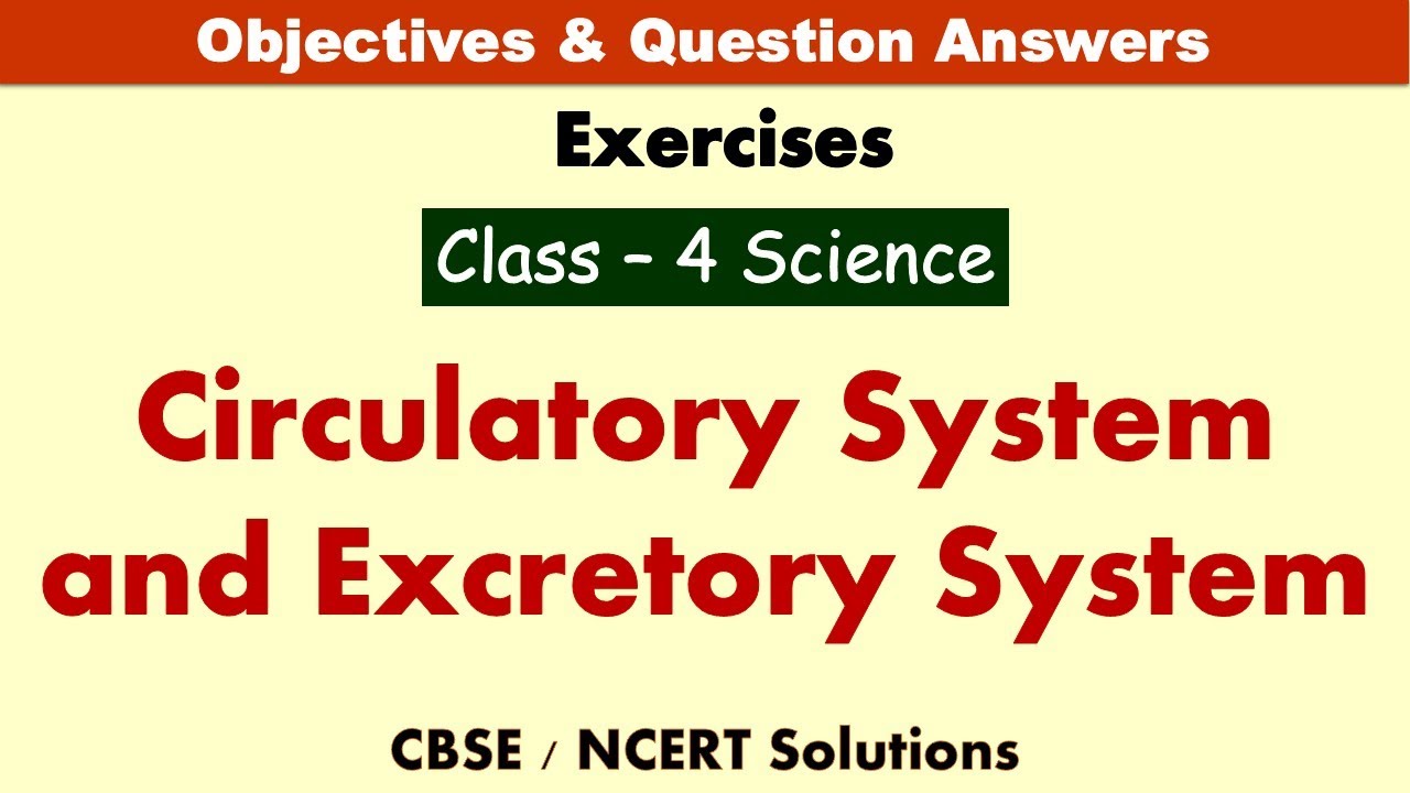 Circulatory System and Excretory System | Class : 4 Science | Exercises | CBSE-Solutions