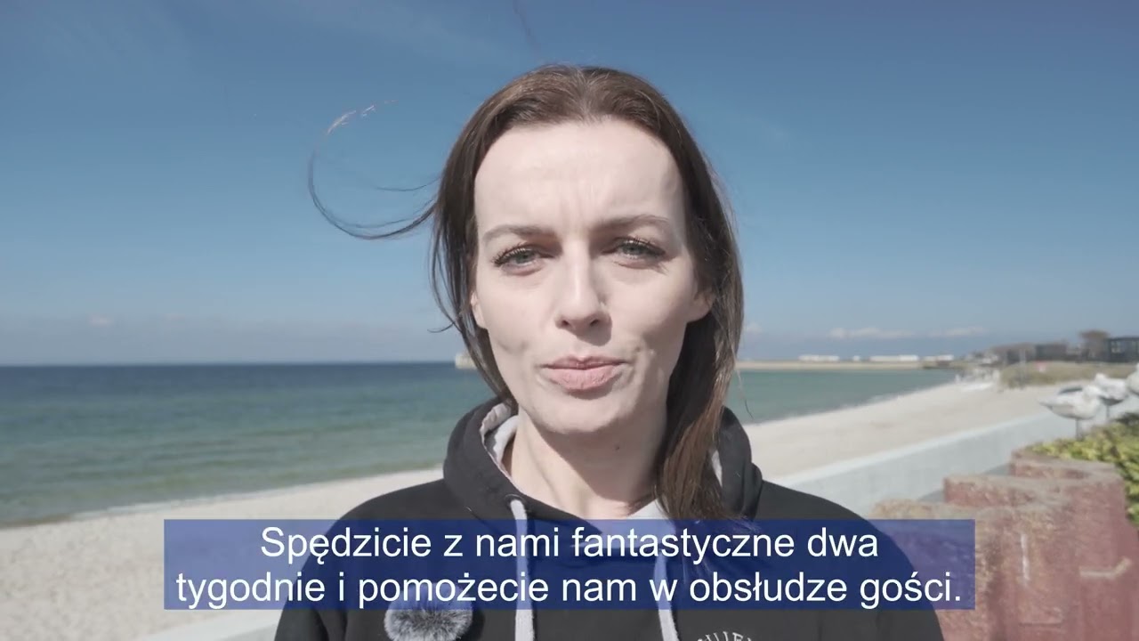 Zapraszamy na wolontariat letni do fokarium