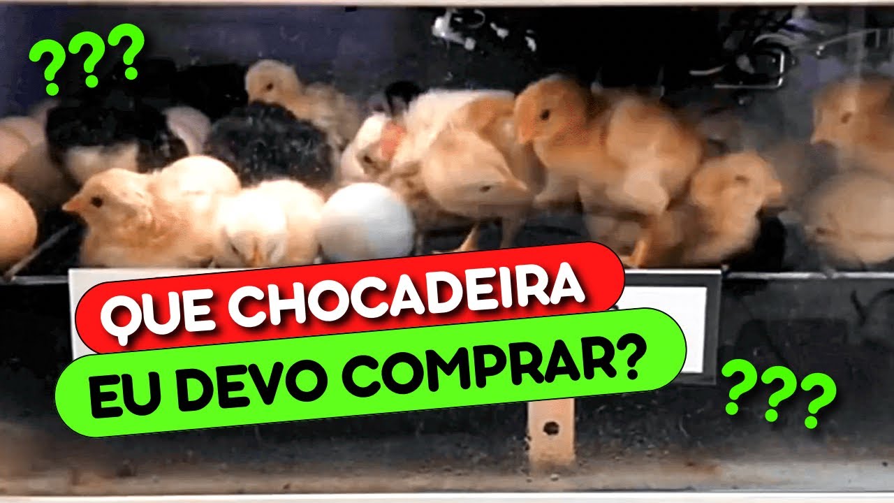 A PIOR e a MELHOR CHOCADEIRA DE TODAS! | QUE CHOCADEIRA você deve COMPRAR? | AGROCRIACAO