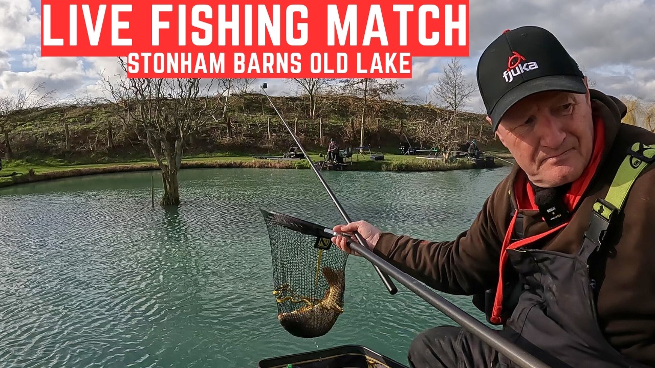 Live Fishing Match Stonham Barns Old Lake IP14 6AT, #matchfishinguk