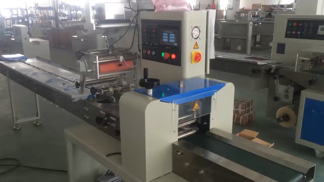automatic dates pouch packing machine price packaging machine supplier coretamppm