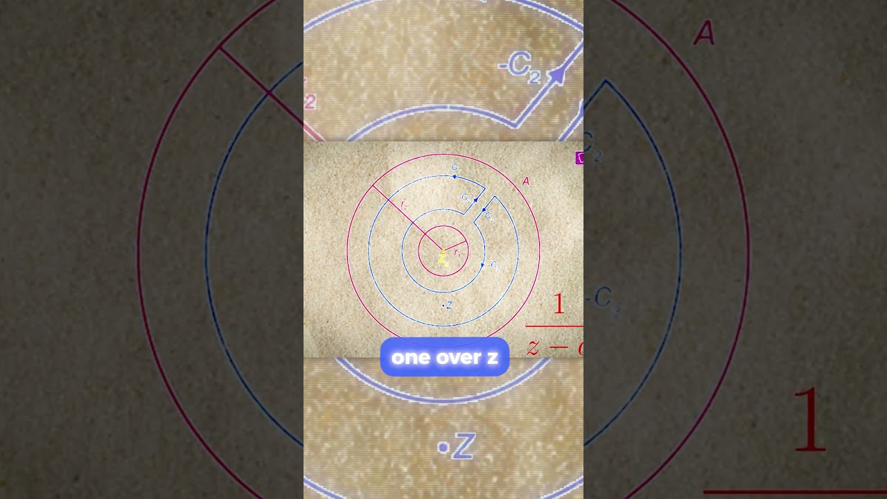 Math Teachers Are Weird  #genius  #calculus #physics