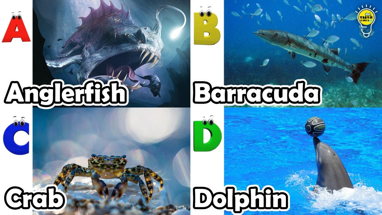 Песенка про морских животных ABC | Изучаем алфавит | Английский язык и животные для детей | #рыба...