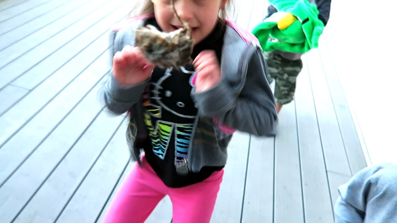 LITTLE MOUSE PRANK!!!