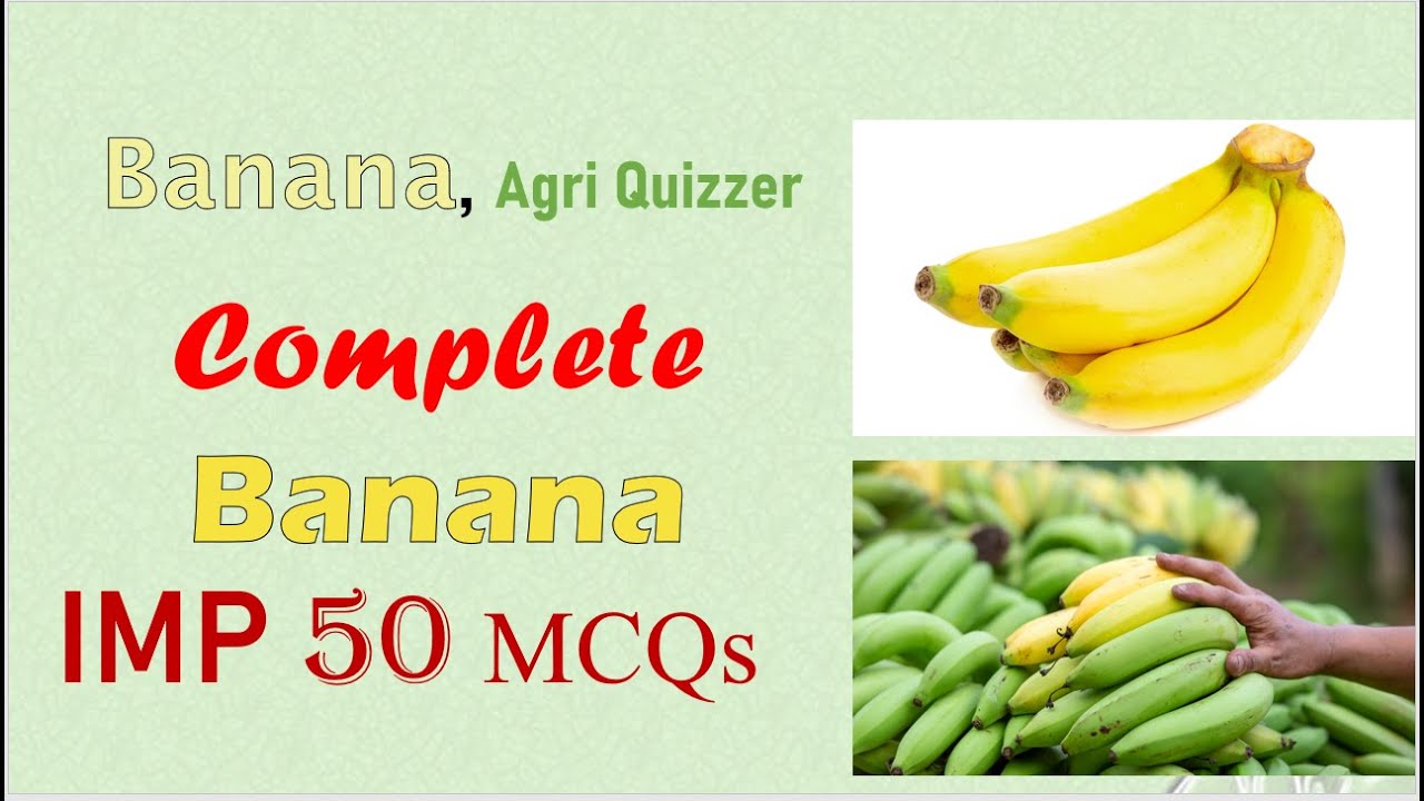 50 Important Banana MCQs for Agriculture Exams |Horticulture Quiz for Competitive Exams #agriquizzer