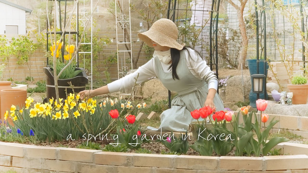 #80. Весенний сад нашего дома в апреле | Загородный сад, полный нарциссов | Садовник во дворе