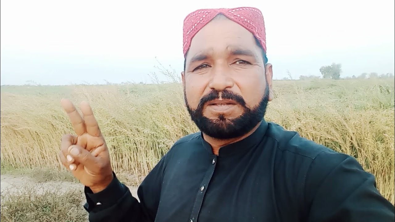 Meri meri karne ke bad kya Mila yah Mila, 🤗🤲
