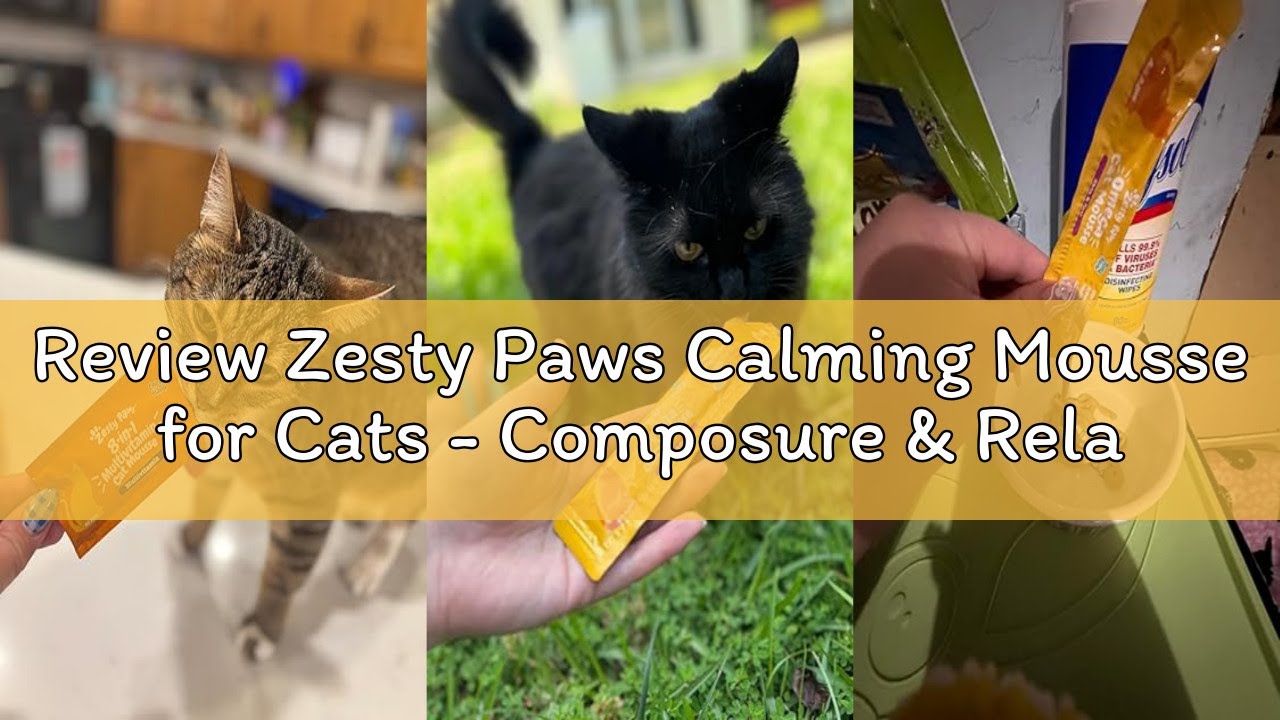 Review Zesty Paws Calming Mousse for Cats - Composure & Relaxation for Stress & Separation - Cat Cal