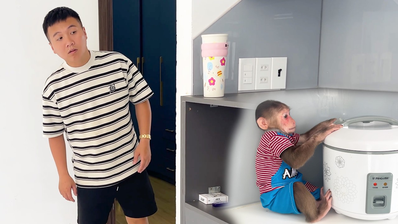 So Surprise! CUBIS Smartly Prepares Breakfast for Dad