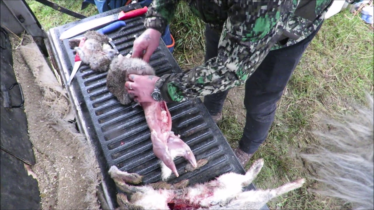 Rabbit, Field To Fork. A Short Film.  #SRP