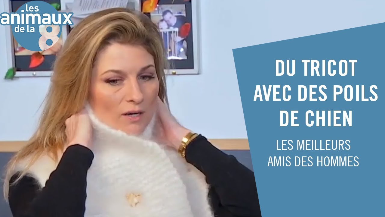 Faire du tricot avec des poils de chien - Les Animaux de la 8