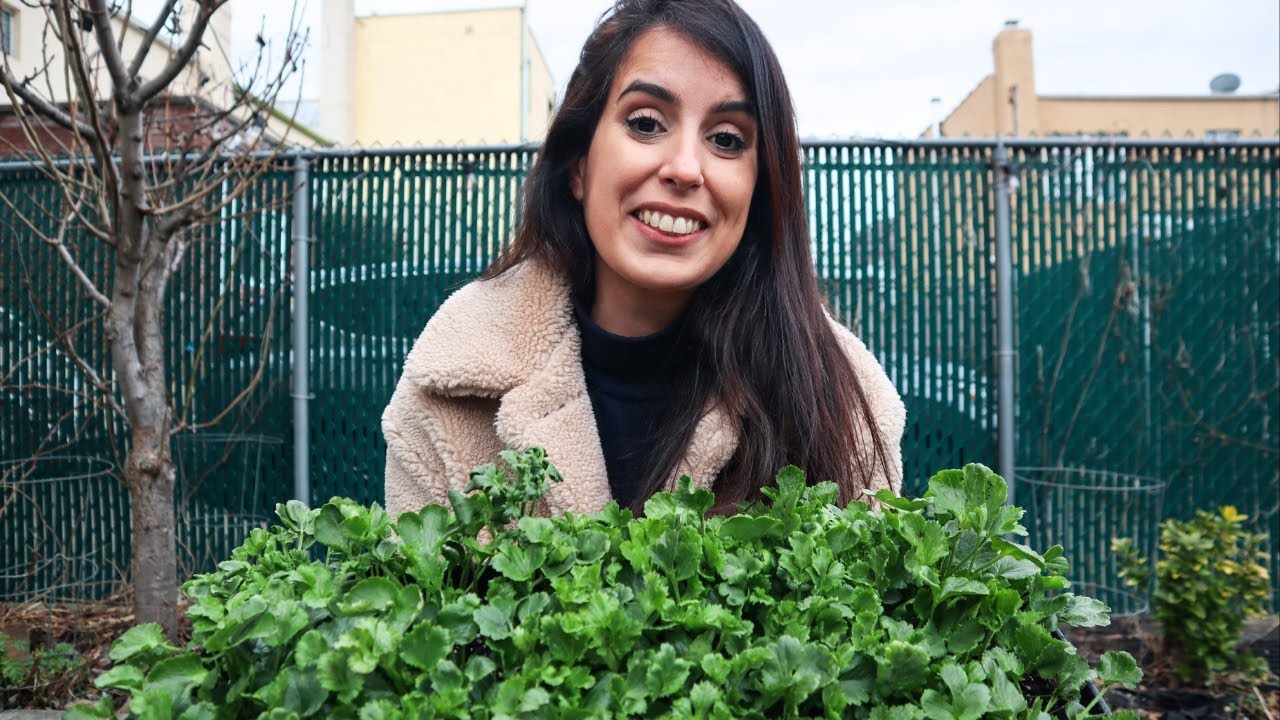 Weekend Planting Plan & Kitchen Garden Club Update