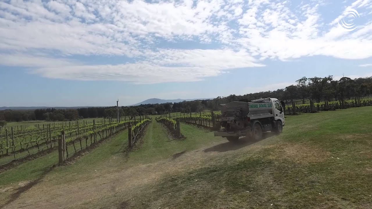 Vineyard Fertiliser Spreading Video