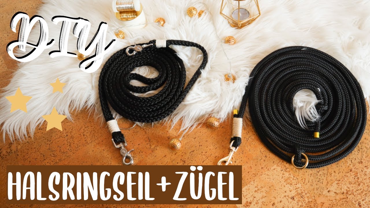 DIY HALSRINGSEIL + ZÜGEL | vic.adventure