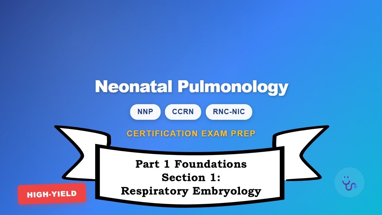 Neonatal Nursing Certification Review: Section 1 – Respiratory Embryology