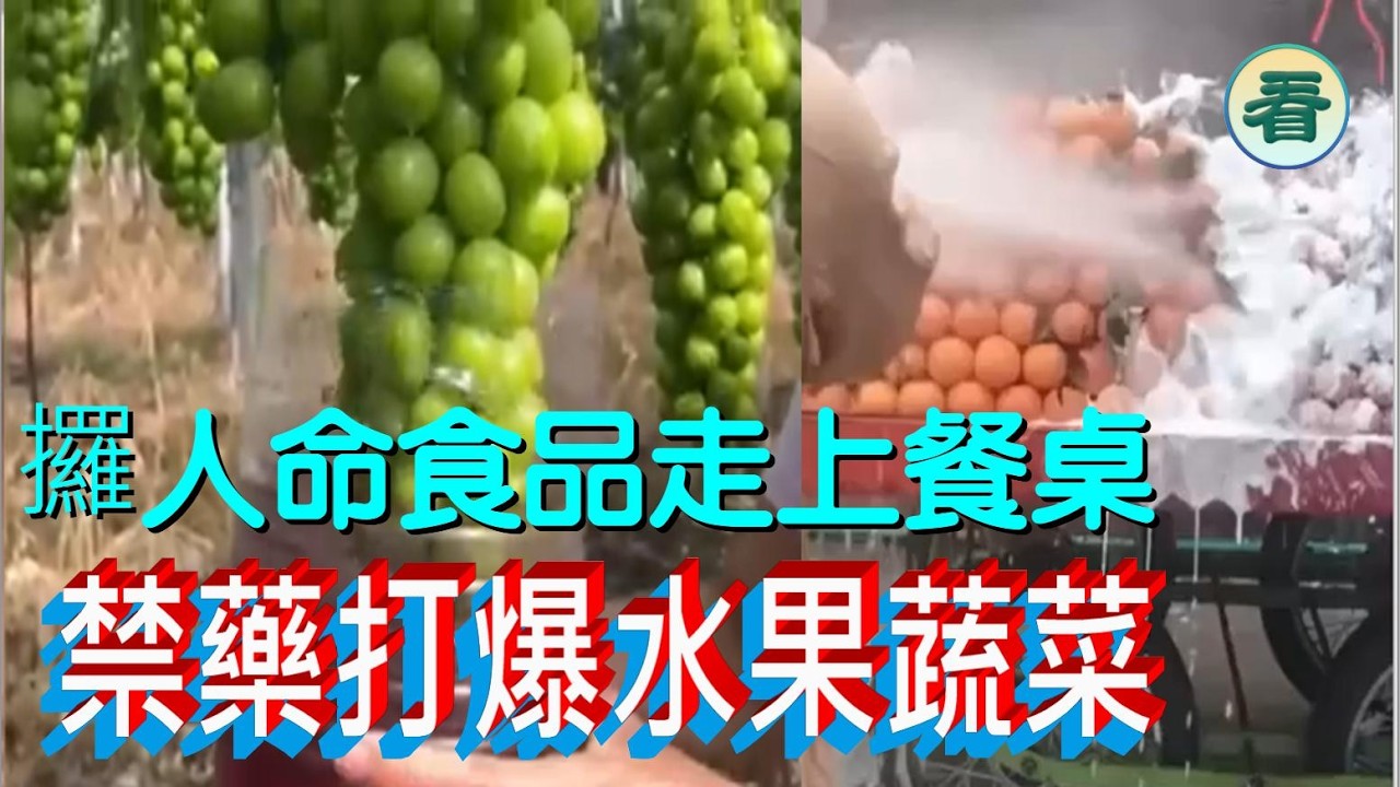 🔥🔥🔥🔥【看大陸】 禁藥打爆水果蔬菜！0.08克攞人命的禁藥走上餐桌！......