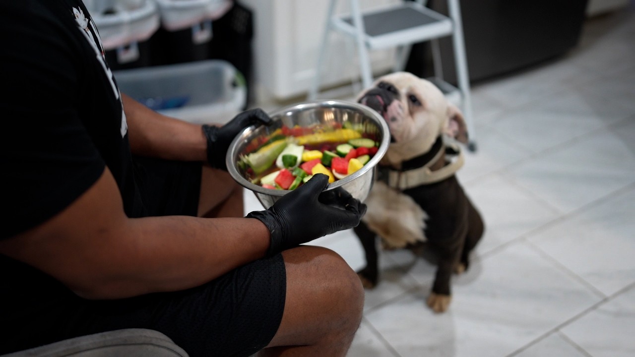 Основы правильного питания собак: разница между жаждой и достаточным количеством жидкости.