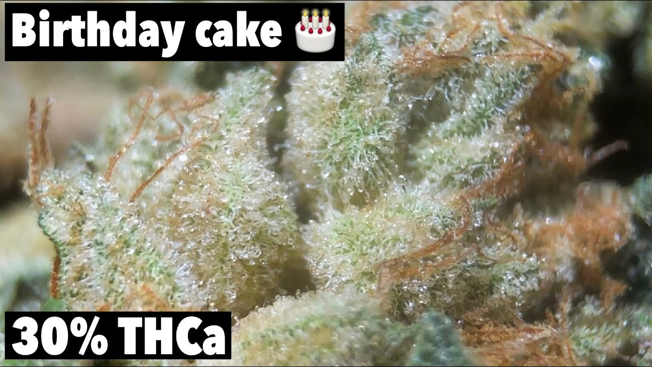 Smoking Birthday Cake  (STRAIN REVIEW)