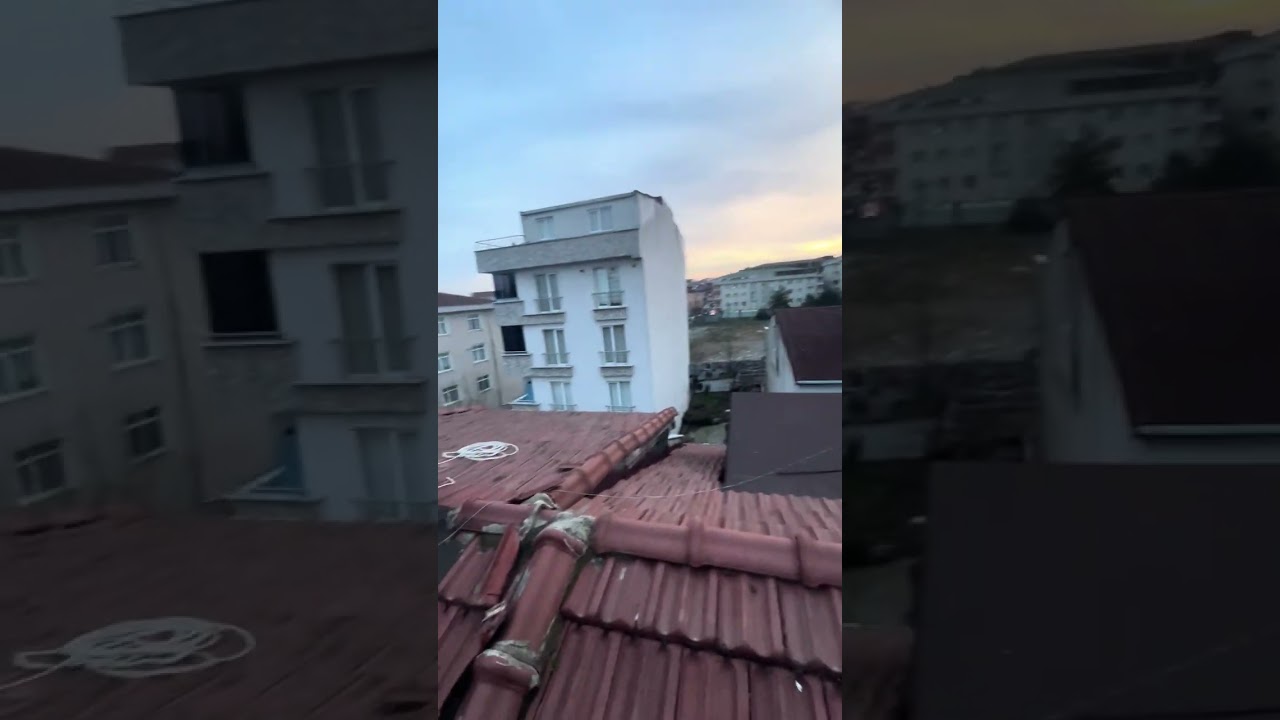 Lafta değil kuş havada izlemek isteyen buyursun gelsin 🧿🧿🧿#güvercin #pigeonhouse #mardingüvercini 