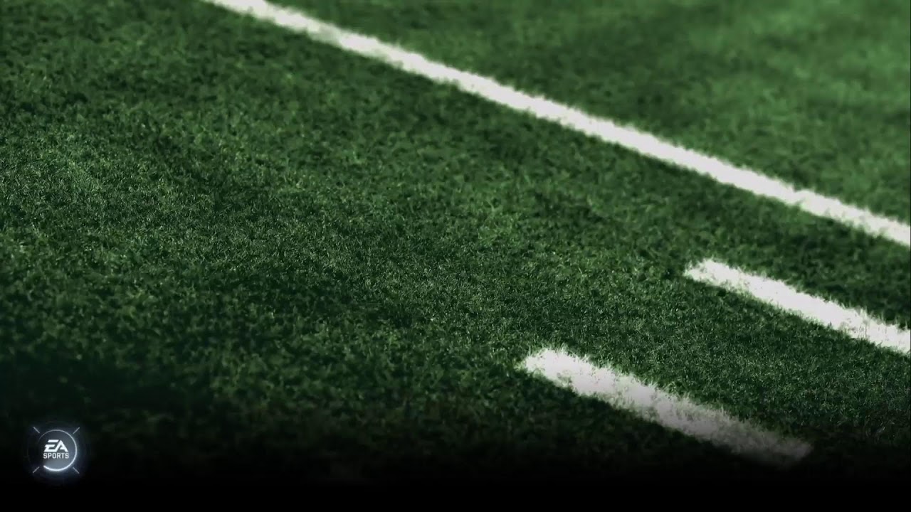 Minnesomalia Vikings DRAFT