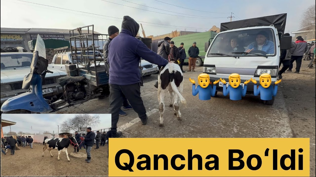 Olingan sotilga Narhlar bilan tanishing Yangiqoʻrgʻon bozori 18.01.2026