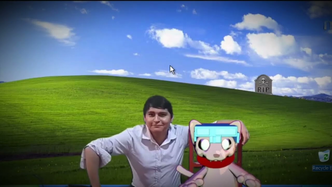 Viaje un rato al pueblo del gato 