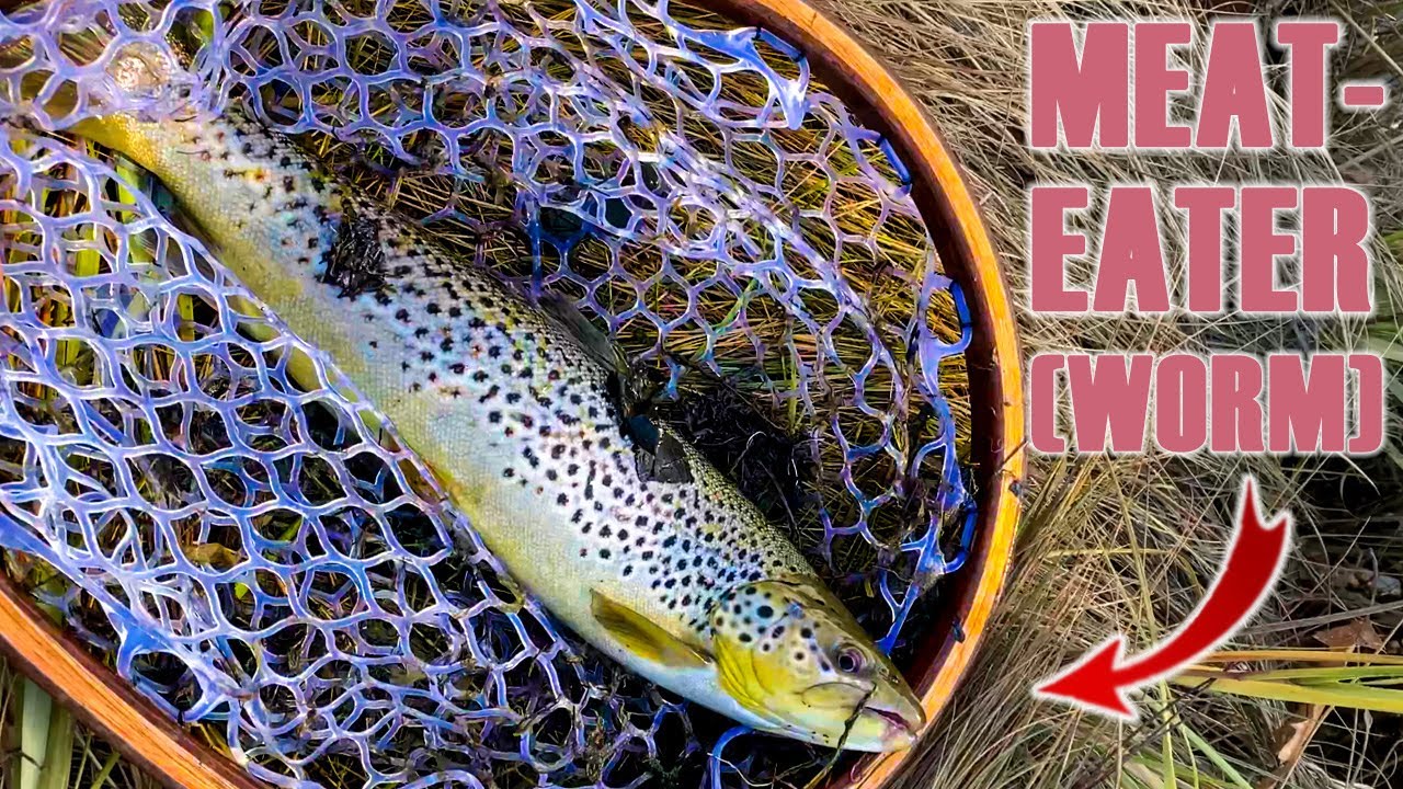 BIG HUNGRY BROWNS! - San Jaun Worm Saves the Day! Fly Fishing the Seacoast of New Hampshire